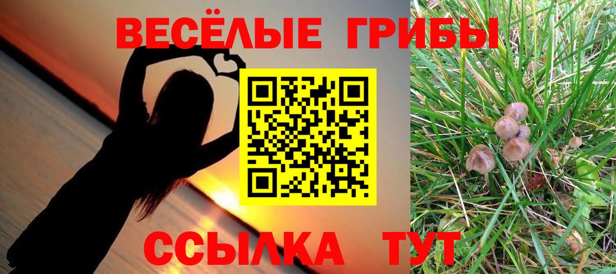 Псилоцибиновые грибы прущие грибы Арзамас
